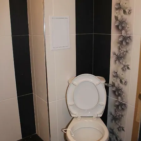 Paradise Day * פומורי